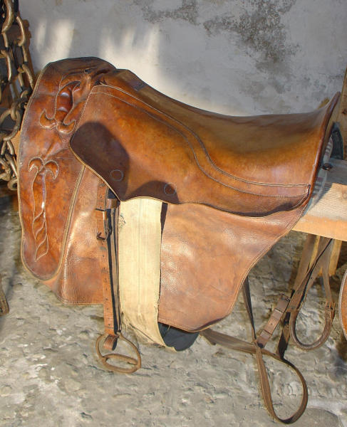 Sella da donna
