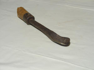 Sgorbia