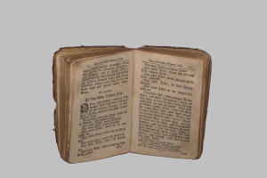 Libro (1800)