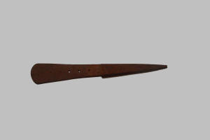 Choiodara (1880)