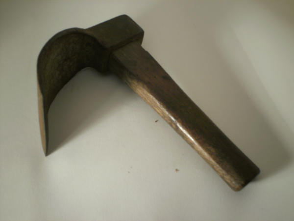 Scavino