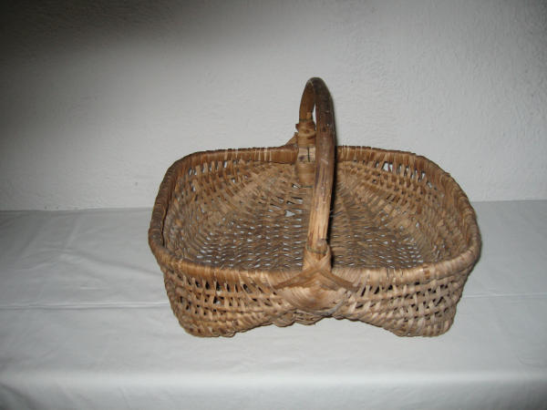 Canestro
